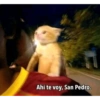 Ahí te voy, San Pedro.