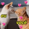 Cantadas pro crush 8