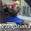 eae gatinha
