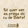 Citando Paraibanês 4 18
