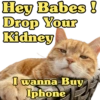 Hey Babes ! Drop Your Kidney I wanna Buy Iphone