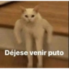 Déjese venir puto