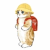 Abel's cat 1 27