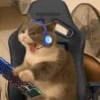VERTAGEAR