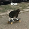 ✨Gatos Cura Depresión 6😻❤️ 9