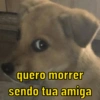 quero morrer sendo tua amiga