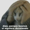 😽Animalitos Anti-depresivos 2 19