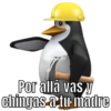 💥🤪Memes Shitpost🤯💥 10