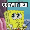COCWIT DEH