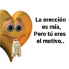 La erección
es mía,
Pero tú eres
el motivo..