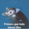 Primero que todo
wenos días
