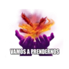 TAKIS FUEGO 14