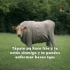 Tápate pq hace frío y tu
estás sinmigo y te puedes
enfermar besos tqm
CLU
TALES