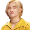 Hyunjin memes 13