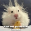 Ah si, creo que la ubico,
cuéntame.