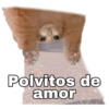 Polvitos de
amor