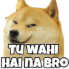 Dog Memes 10