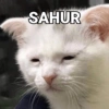 SAHUR