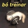 bó treinar