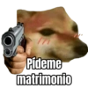 Memes Random V1 9