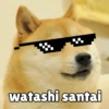 Kocheng&doge slebewww 15