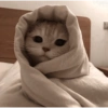 ✨MEMES GATITOS 2🥰 8