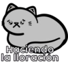 Michis del amor 💕🐱 21