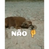NÃO