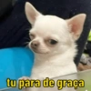 tu para de graça