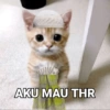 AKU MAU THR