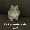 Animalitos con frases 1 ❤️😎 5