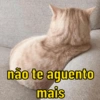 SEQUÊNCIA DE MEMES 😜 11