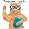 Tengo una pregunta OO 1520