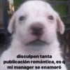 disculpen tanta publicación romántica, es q mi manager se enamoró