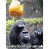 basketboll oynamak