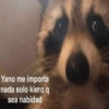 Yano me importa
nada solo kiero q
sea nabidad