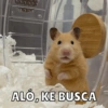 Animalitos🐾🥰 11