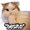 @rose.stickers1
*besito*