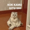 KOK KAMU GITU SIH