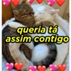 CANTADAS PARA FLERTAR v2 7