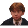 Harry Potter a stikers 7