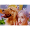 K-Pop 1 5