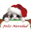 Navidad 26