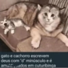 Mantenha distancia 7