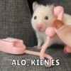 Animalitos🐾🥰 12