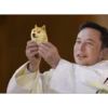 Dogecoin 5