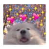 Cães e corações 19