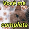 Animais fofos 333💗 5