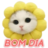 GATINHOS SIMPÁTICOS 😻 6
