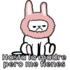 Michis del amor 💕🐱 13